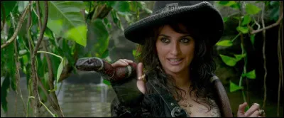 Quel est ce film d'aventure avec Cruz ?