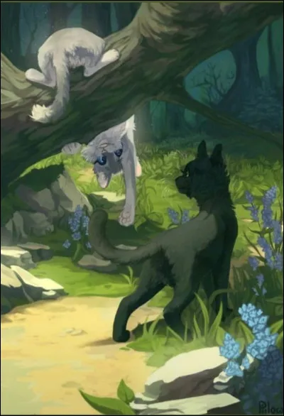 Quelle est la punition dÉtoile Balafrée pour avoir trahi Ombre dÉrable ?