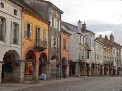 Quelle est cette ville de 6 400 habitants, principale ville de la plaine de la Bresse à l'est de la Saône ?