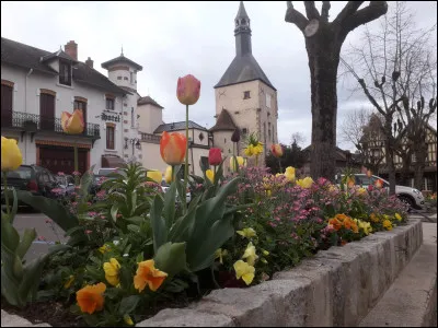 Quelle est cette petite ville de 4 500 habitants, située dans l'ouest du département, dans la vallée de la Loire, connue pour sa station thermale ?