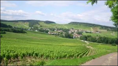 Quel est ce village de la côte chalonnaise, l'une des plus importantes appellations viticoles de Bourgogne ?