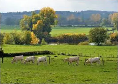 Quelle est cette région naturelle du sud du département, correspondant à un ancien comté, région vallonnée connue pour son important élevage bovin ?