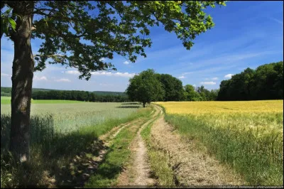 Mon premier est rural sauf s'il est suivi du nom d'un palais présidentiel.
Mon deuxième est un type de fruit, parfois toxique.
Il fait mon troisième, alors il sollicite ses zygomatiques.
Mon tout est situé dans...