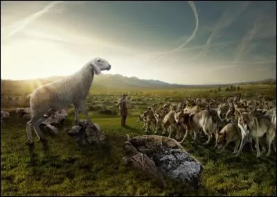 Après de nombreuses recherches, j'ai fini par trouver le nom de ce mouton, il s'appelle Pierre. Trouvez le nom d'un grand compositeur de musique !