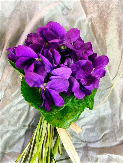 Qui a interprété "L'Amour est un bouquet de violettes" ?