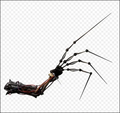 Qui est ce personnage ?