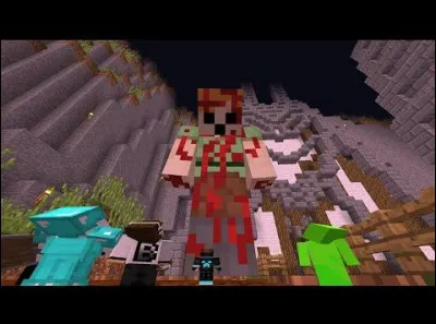 Quelle est cette entité ?