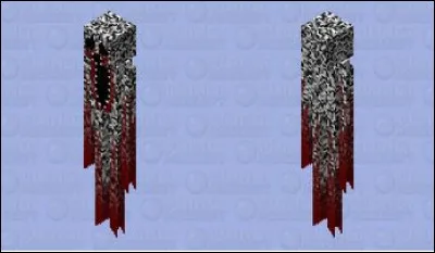 Quelle est cette entité ?