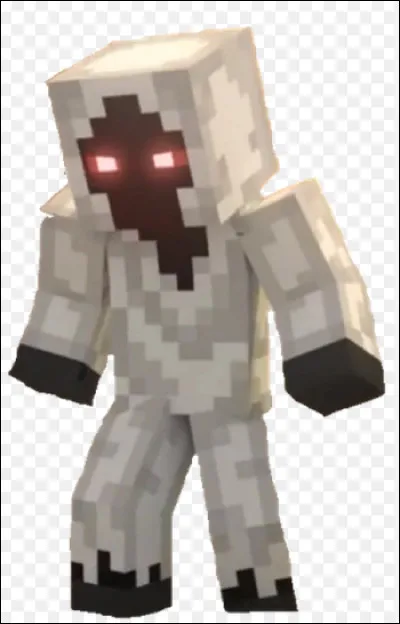 Quelle est cette entité ?