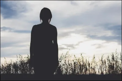 Tu préfères que le héros :