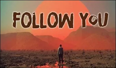 Quel groupe américain a chanté "Follow you" ?