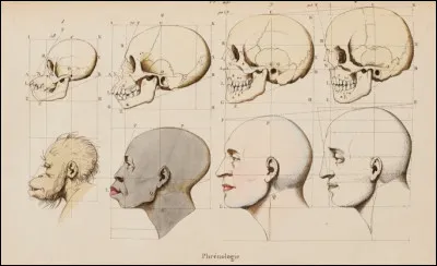 1855 > Tout est prétexte à une démonstration "par la science". Sans formation scientifique, le diplomate Arthur de Gobineau, veut ainsi faire gober au monde sa théorie de "la race supérieure", qu'il dénomme ... [Comment ?]