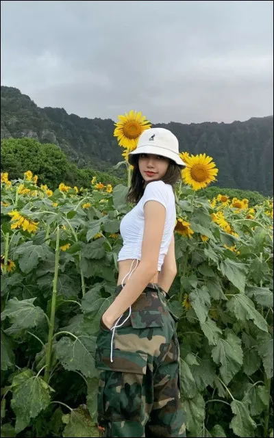 En quelle année les Blackpink ont-elles fait leurs débuts ?