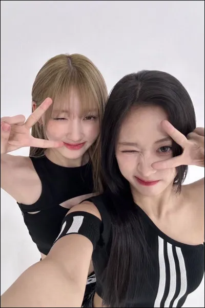 Quelle couleur préfères-tu ?