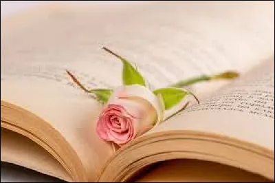 Quel est le métier de Mabeuf ?