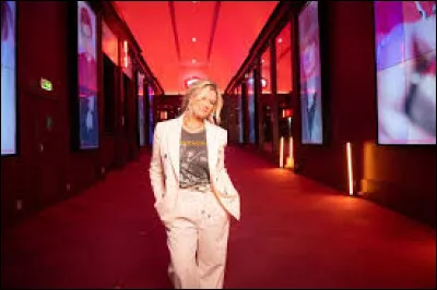 Comment se nommait l'émission présentée par Flavie Flament où des chanteurs et chanteuses allaient rencontrer à l'improviste un de leur fan ?