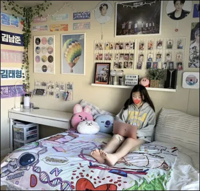 Veux-tu beaucoup de décoration, d'albums ?