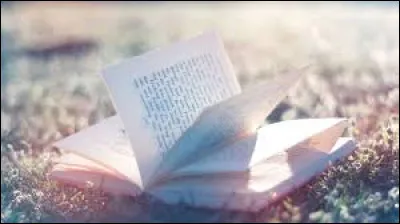 Quel personnage représente la décadence et la vieillesse ?