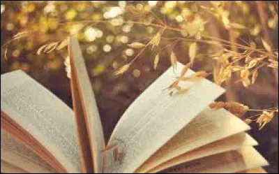 Quel personnage dit au Petit Prince que l'essentiel est invisible pour les yeux ?