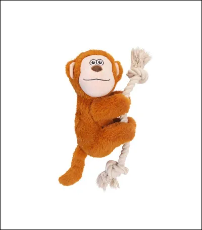 Quel singe aimerais-tu &ecirc;tre ?