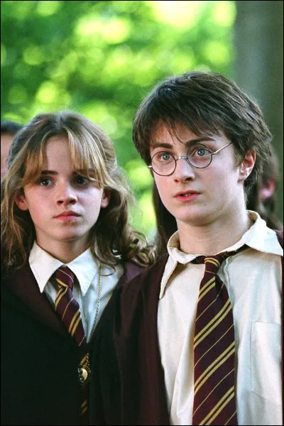 Au début de ''Harry Potter et le Prince de sang-mêlé'', Harry lit un journal moldu.