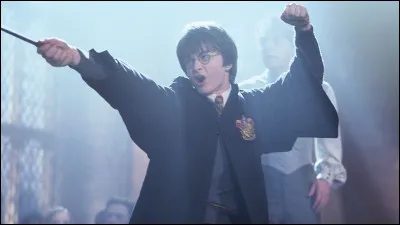 Quelle est la première question que Ron pose à Harry après avoir découvert son identité ?
