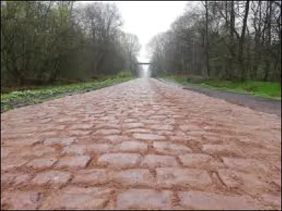 La trouée d'Arenberg est l'un des passages les plus ardus de ce monument :