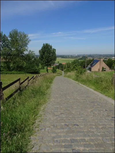 Connu pour ses courtes montées pavées et abruptes (bergs), le Paterberg est l'un de ses monts les plus connus :