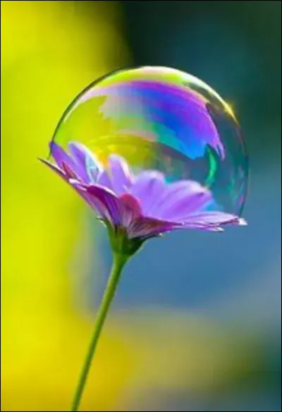 Comment s'appelle la représentation de la Terre sous forme de carte ?