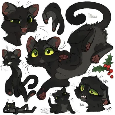 Qui était le premier mentor de Nuage de Houx ?