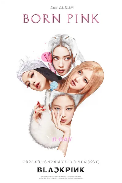 Dans l�album ''Born Pink'', a-t-elle sorti un solo ?