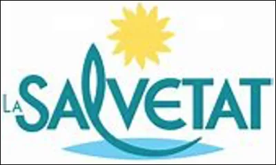 Quelle marque en S est symbolisée par ce logo ?