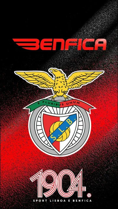 À quelle ville appartient le club de foot de la Benfica ?