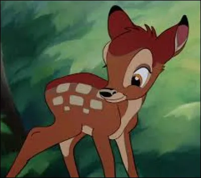 Quel animal est Panpan, dans Bambi ?