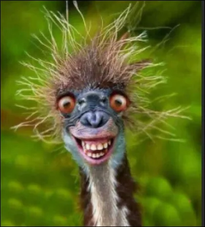 Quelle couleur préfères-tu entre celles-là ?