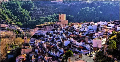 Quel écrivain est l'auteur du roman "Don Quichotte" ?