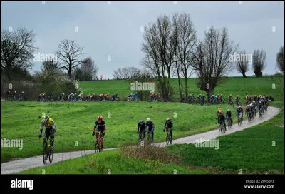 Peter Sagan, Tom Boonen, Mario Cipollini ou Eddy Merckx l'ont chacun gagnée 3 fois.