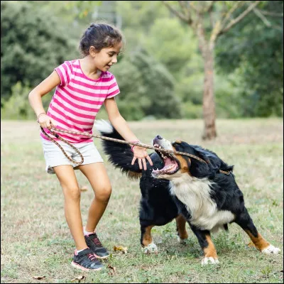 Mise en scène : tu marches avec tes amis dans la rue quand soudain, tu vois un enfant qui se fait attaquer par un chien. Que fais-tu ?
