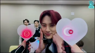 À quel groupe appartient ce lightstick ?