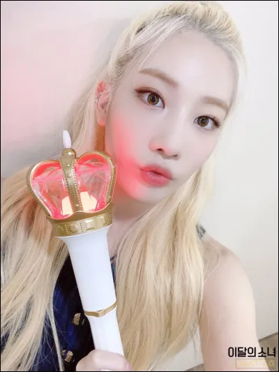 À quel groupe appartient ce lightstick ?