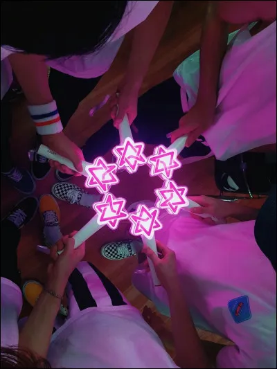 À quel groupe appartient ce lightstick ?