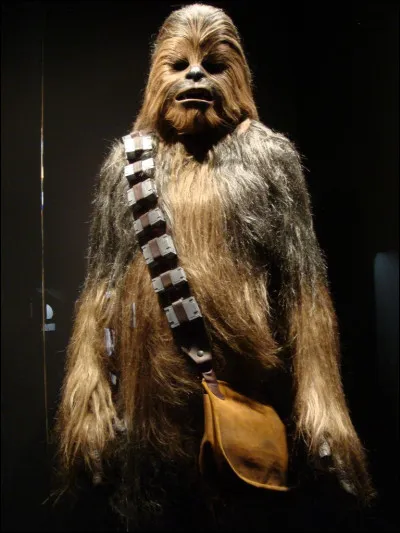 Comment s'appelle ce personnage ?