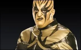 Quel est le finisher de Goldust ?