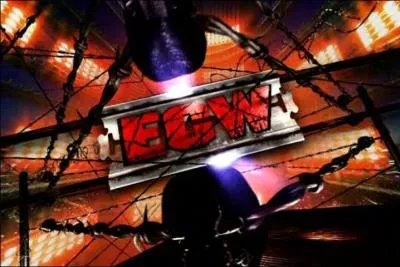 Quelle show remplace l'ECW ?