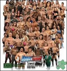 Comment se nomment les catcheuses et catcheurs de la WWE ?