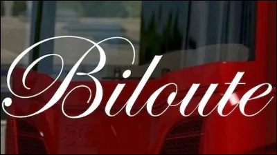 Le film a popularisé le mot ''biloute''. Que signifie ce mot ?