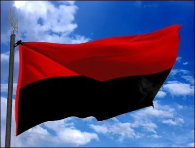 Quel mouvement insurrectionnel formé en octobre 1942 utilisa ce drapeau ?