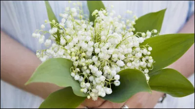 Que fait une personne qui muguète ?