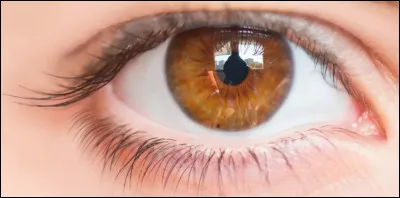 Quelle couleur d'yeux voudrais-tu avoir ?