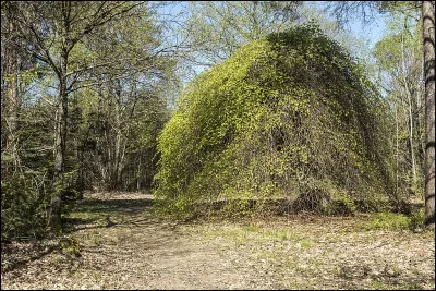 En 1969, Patricia Highsmith nous a donné "l'empreinte du..."